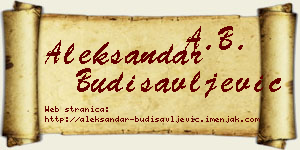 Aleksandar Budisavljević vizit kartica